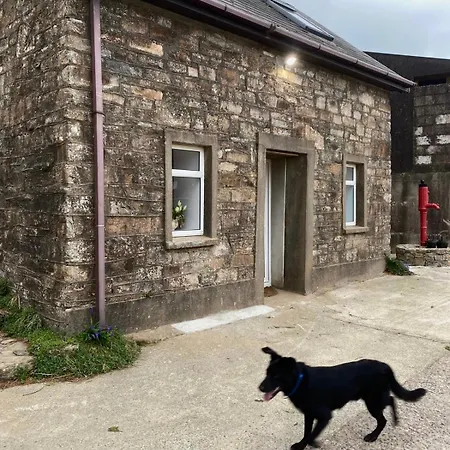 The Cosy Дом отдыха *